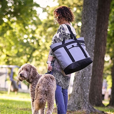 De Thermische Zachte Opgeruimde Geïsoleerde Koeler van Gray Insulated Cooler Bag HD