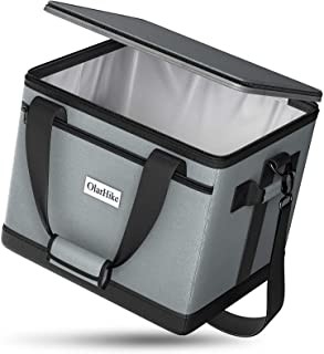 De lekvrije Opvouwbare Geïsoleerde Koelere Doos van de Zakkenlunch voor het Kamperen Picknickbarbecue